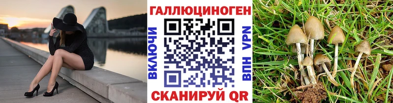 ссылка на мегу как войти  Ясногорск  Галлюциногенные грибы ЛСД 